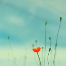 아이치과의원 이미지