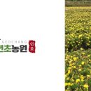 거창천년초농원