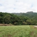 메밀꽃필무렵 - 달서구 달구벌대로344길 1 | 메밀꽃필무렵