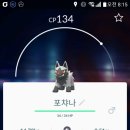 우리동네포차 이미지