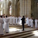 천상의 나무 이미지