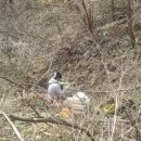 이가형제농장 이미지