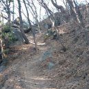 봉래산체육공원 이미지