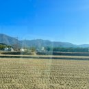 농소운동장 | 울산 코로나검사 찐 후기: 농소운동장 코로나 검사결과 통보시간