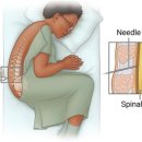 천자로-2 이미지
