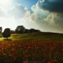 달빛별빛 이미지