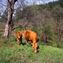 한양여인숙 이미지