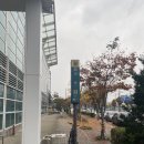 평동산단3번로 | 광주 평동 수영장 평동산단개방형체육관 후기