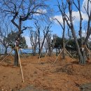 남가람공원 이미지