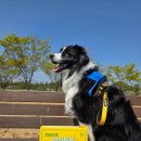 농업회사법인 주식회사 연꽃마을 이미지