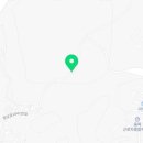 가로수 행정사 사무소 이미지