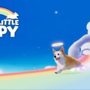 더모아솔라 이미지