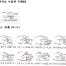 음양오행의원리| 이미지