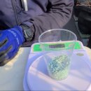 (주)골드팜 이미지