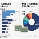 원숭이도 이해하는 EUV, 펠리클 이미지