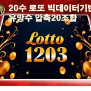1203회 로또 예상번호 유망압축번호｜전회차 예상번호 3수 적중 흐름,+ 20조합 공개 이미지