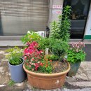 키친달팽이 이미지