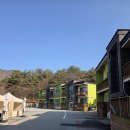 포레스트 월악 이미지