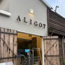 알리고(ALIGOT) | [서울|동대문] 용두동 파스타 알리고 ALIGOT :: 갈릭칩 알리오 올리오, 173 라자냐 후기