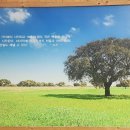 진주여자중학교 앞 이미지