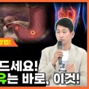 이런 분들은 올리브유 꼭 드세요 올리브유의 효능과 섭취 방법을 알려드립니다 이미지