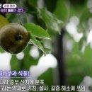 김미숙농장 이미지