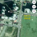 신세계 태권도 이미지