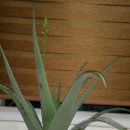 소안힐링펜션 이미지