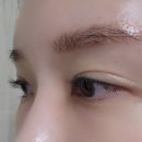 옐로우브로우