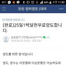 캠핑홀릭 이미지