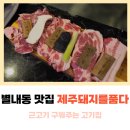 제주;돼지를품다