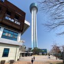 좋아하는 아산생태곤충원 &amp; 아산그린타워 &amp; 장영실과학관 제대로 즐기기 [feat. 충남 아이랑 갈만한 곳]