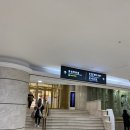 롯데백화점부산본점 마더피아 이미지