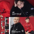 다운애견 이미지