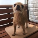 석남지구대 이미지