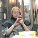 채솔이네 이미지