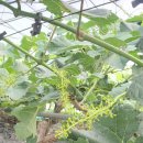 새참하우스 이미지