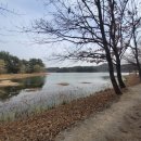 스님+며느리+강아지 이미지