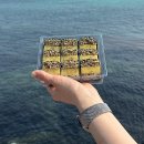 김밥에 라면생각 | 제주도 김밥 맛집 김만복김밥 전복김밥 해물라면 포장 솔직후기.