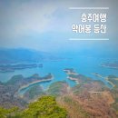 게으른 악어 | 충주 가볼 만한 곳 악어봉 등산 후기 게으른악어 주차 난이도 전망 솔직 후기