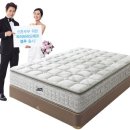 와우블루 이미지