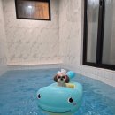 더블루네스 이미지