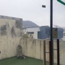 헤이리395 이미지