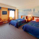 (주)공푸드 이미지