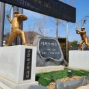 왕산초록빛바다