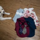 여울안경 이미지