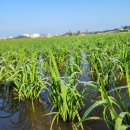 농부의아침영농조합법인 이미지