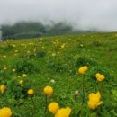 주식회사 그린기프트 이미지