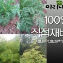 미리내 유통 이미지