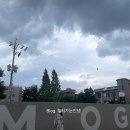 그린모그